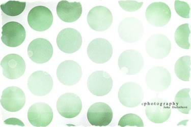 JD PHOTOGRAPHY  Fotopozadí - PUNTÍKY 40