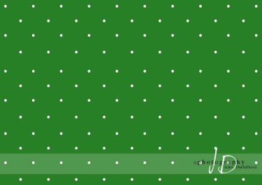 JD PHOTOGRAPHY  Fotopozadí - PUNTÍKY 65