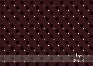 JD PHOTOGRAPHY  Fotopozadí - PUNTÍKY 66