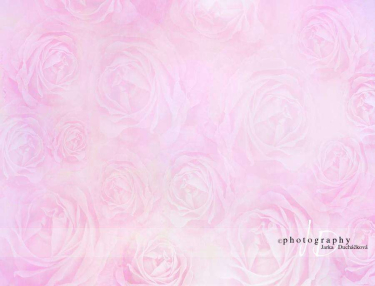 JD PHOTOGRAPHY  Fotopozadí - RůŽE 13