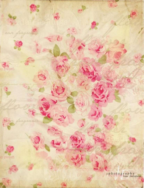 JD PHOTOGRAPHY  Fotopozadí - ROSE 2