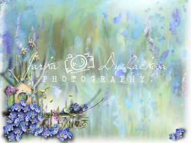 JD PHOTOGRAPHY  Fotopozadí - DESIGN 372