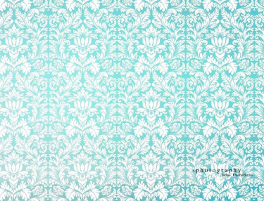 JD PHOTOGRAPHY  Fotopozadí - DAMAŠEK 132