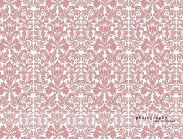 JD PHOTOGRAPHY  Fotopozadí - DAMAŠEK 141