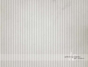 JD PHOTOGRAPHY  Fotopozadí - PROUŽKY 1