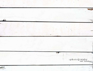 JD PHOTOGRAPHY  Fotopozadí - PODLAHA 193