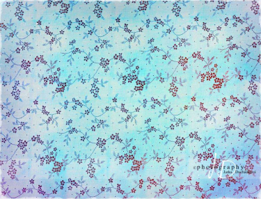 JD PHOTOGRAPHY  Fotopozadí - KVĚTINKY 11