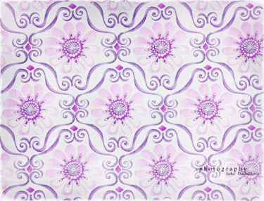 JD PHOTOGRAPHY  Fotopozadí - KVĚTINKY 22