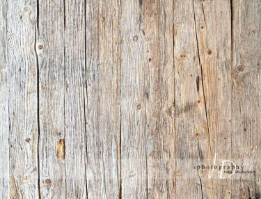 JD PHOTOGRAPHY  Fotopozadí - PODLAHA 215