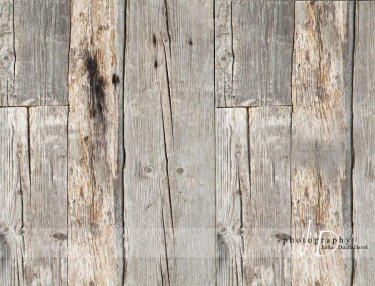 JD PHOTOGRAPHY  Fotopozadí - PODLAHA 219