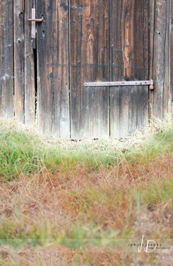 JD PHOTOGRAPHY  Fotopozadí - stěna+podlaha - VRATA v SADU