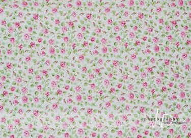 JD PHOTOGRAPHY  Fotopozadí - RůŽE 21