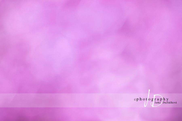 JD PHOTOGRAPHY  Fotopozadí - BOKEH 9