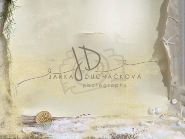 JD PHOTOGRAPHY  Fotopozadí - DESIGN 662