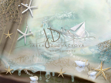 JD PHOTOGRAPHY  Fotopozadí - DESIGN 660