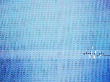 JD PHOTOGRAPHY  Fotopozadí - PLÁTNO 15