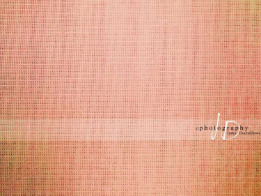 JD PHOTOGRAPHY  Fotopozadí - PLÁTNO 17