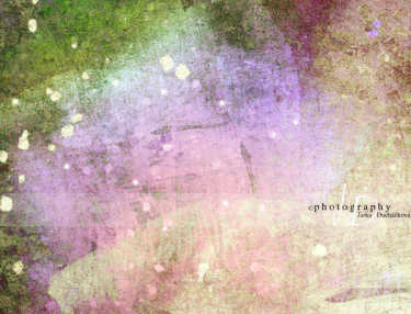 JD PHOTOGRAPHY  Fotopozadí - LASKAVÁ MLHOVINA 4