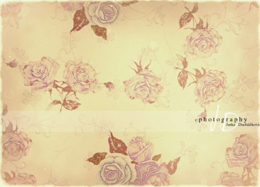 JD PHOTOGRAPHY  Fotopozadí - RůŽIČKY 4