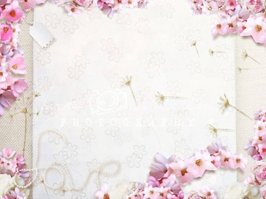 JD PHOTOGRAPHY  Fotopozadí - DESIGN 548