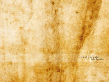 JD PHOTOGRAPHY  Fotopozadí - PAPÍR VINTAGE 5