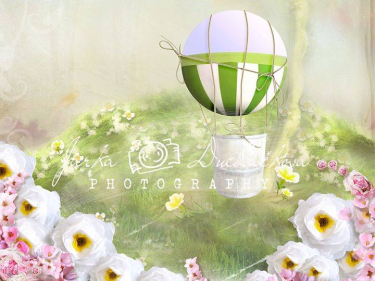 JD PHOTOGRAPHY  Fotopozadí - DESIGN 495