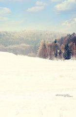 JD PHOTOGRAPHY  Fotopozadí - SPOJENÉ reálné - Zimní krajinka 3