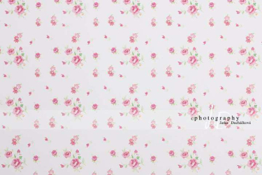 JD PHOTOGRAPHY  Fotopozadí - DESIGN 23