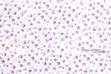 JD PHOTOGRAPHY  Fotopozadí - DESIGN 24