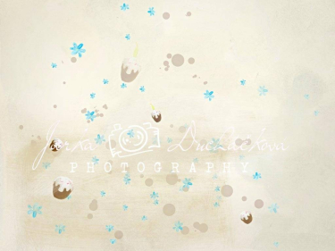 JD PHOTOGRAPHY  Fotopozadí - DESIGN 412