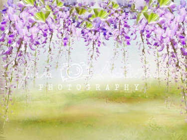 JD PHOTOGRAPHY  Fotopozadí - DESIGN 405