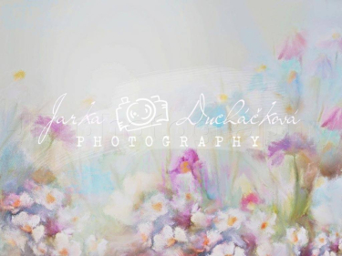 JD PHOTOGRAPHY  Fotopozadí - DESIGN 379