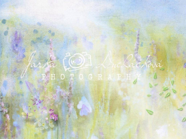 JD PHOTOGRAPHY  Fotopozadí - DESIGN 378