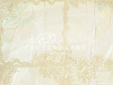 JD PHOTOGRAPHY  Fotopozadí - DESIGN 376