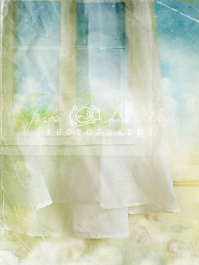 JD PHOTOGRAPHY  Fotopozadí - DESIGN 359