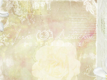 JD PHOTOGRAPHY  Fotopozadí - DESIGN 333