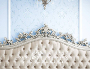 JD PHOTOGRAPHY  Fotopozadí - POHOVKA luxusní ze zámku 8