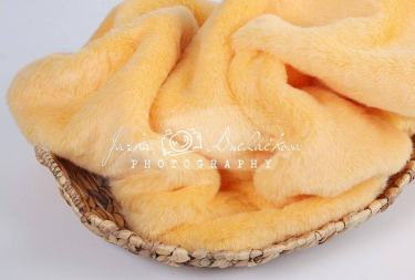 JD PHOTOGRAPHY  Kožešina meruňková