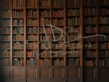 Fotopozadí - Knihovna 14