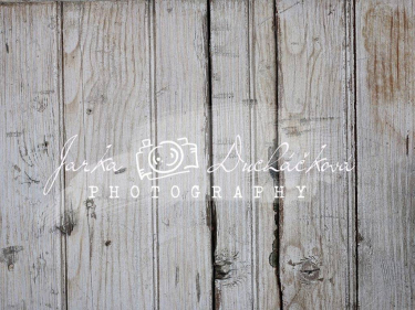 JD PHOTOGRAPHY  Fotopozadí - PODLAHA 354