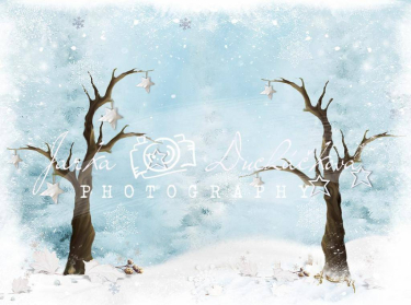 JD PHOTOGRAPHY  Fotopozadí - ZIMA 80