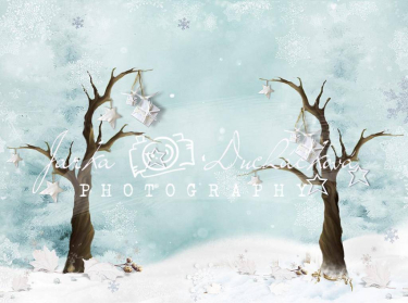 JD PHOTOGRAPHY  Fotopozadí - ZIMA 78