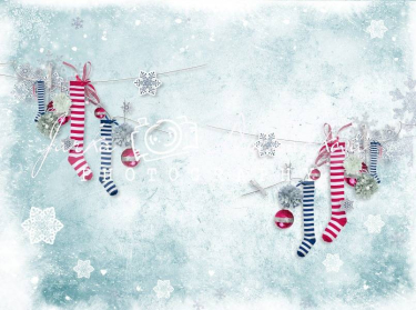 JD PHOTOGRAPHY  Fotopozadí - ZIMA 68