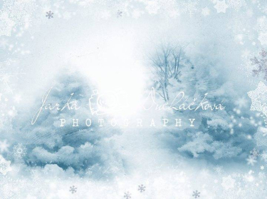 JD PHOTOGRAPHY  Fotopozadí - ZIMA 60