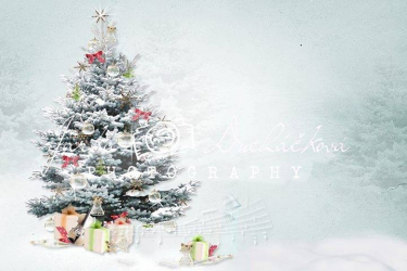 JD PHOTOGRAPHY  Fotopozadí - ZIMA 55