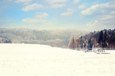 JD PHOTOGRAPHY  Fotopozadí - ZIMA 29