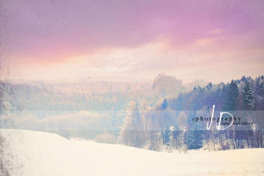 JD PHOTOGRAPHY  Fotopozadí - ZIMA 28