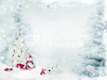 JD PHOTOGRAPHY  Fotopozadí - ZIMA 70