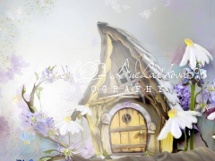 JD PHOTOGRAPHY  Fotopozadí - DESIGN 368