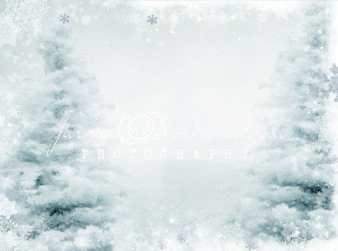 JD PHOTOGRAPHY  Fotopozadí - ZIMA 64